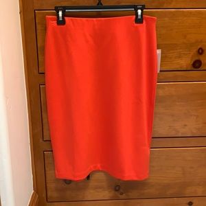 Philosophy Pencil Skirt